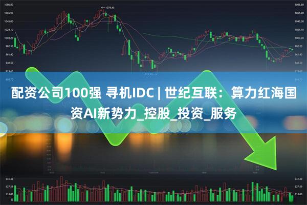 配资公司100强 寻机IDC | 世纪互联：算力红海国资AI新势力_控股_投资_服务