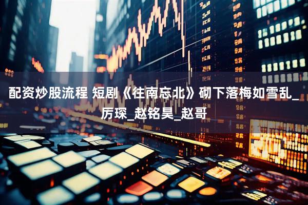 配资炒股流程 短剧《往南忘北》砌下落梅如雪乱_厉琛_赵铭昊_赵哥